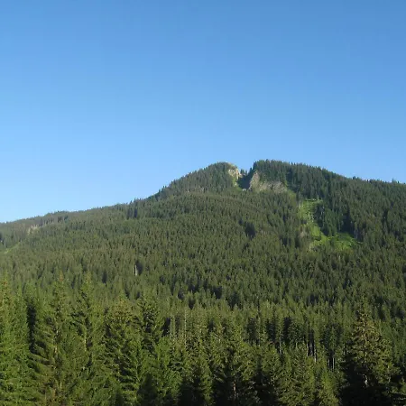 Bergliebe * Nesselwang